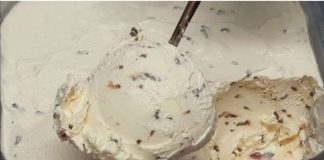 SLADOLED ne kupujem cijelo ljeto: Pravim ga od pavlake i šlaga za samo 3 minute! SLADOLED ne kupujem cijelo ljeto: Pravim ga od pavlake i šlaga za samo 3 minute! - featured image