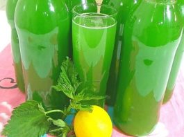 RECEPT ZA SIRUP OD KOPRIVE: OBAVEZNO GA ZABILJEŽITE JE SVI KOJI SU GA PROBALI SU SE ODUSEVILI! RECEPT ZA SIRUP OD KOPRIVE: OBAVEZNO GA ZABILJEŽITE JE SVI KOJI SU GA PROBALI SU SE ODUSEVILI! - featured image