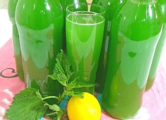RECEPT ZA SIRUP OD KOPRIVE: OBAVEZNO GA ZABILJEŽITE JE SVI KOJI SU GA PROBALI SU SE ODUSEVILI! RECEPT ZA SIRUP OD KOPRIVE: OBAVEZNO GA ZABILJEŽITE JE SVI KOJI SU GA PROBALI SU SE ODUSEVILI! - featured image