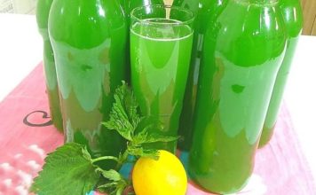RECEPT ZA SIRUP OD KOPRIVE: OBAVEZNO GA ZABILJEŽITE JE SVI KOJI SU GA PROBALI SU SE ODUSEVILI! RECEPT ZA SIRUP OD KOPRIVE: OBAVEZNO GA ZABILJEŽITE JE SVI KOJI SU GA PROBALI SU SE ODUSEVILI! - featured image