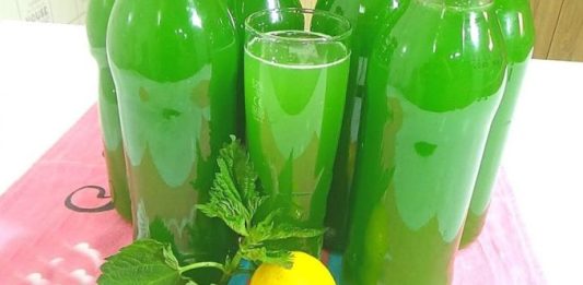 RECEPT ZA SIRUP OD KOPRIVE: OBAVEZNO GA ZABILJEŽITE JE SVI KOJI SU GA PROBALI SU SE ODUSEVILI! RECEPT ZA SIRUP OD KOPRIVE: OBAVEZNO GA ZABILJEŽITE JE SVI KOJI SU GA PROBALI SU SE ODUSEVILI! - featured image