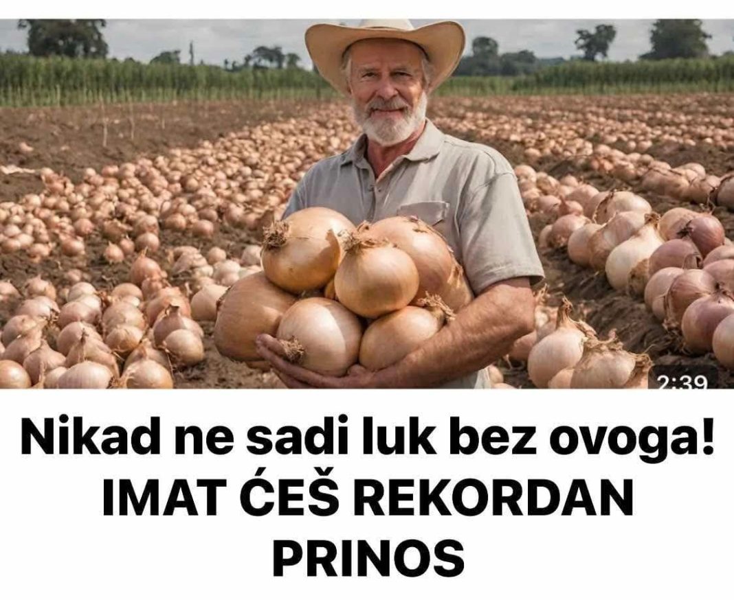 Nikad ne sadi luk bez ovoga! IMAT ĆEŠ REKORDAN PRINOS - featured image