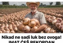 Nikad ne sadi luk bez ovoga! IMAT ĆEŠ REKORDAN PRINOS Nikad ne sadi luk bez ovoga! IMAT ĆEŠ REKORDAN PRINOS - featured image