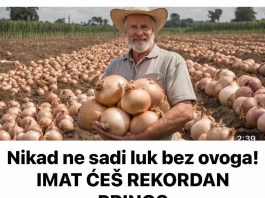 Nikad ne sadi luk bez ovoga! IMAT ĆEŠ REKORDAN PRINOS Nikad ne sadi luk bez ovoga! IMAT ĆEŠ REKORDAN PRINOS - featured image