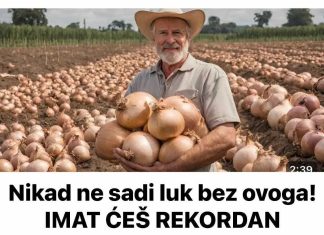 Nikad ne sadi luk bez ovoga! IMAT ĆEŠ REKORDAN PRINOS Nikad ne sadi luk bez ovoga! IMAT ĆEŠ REKORDAN PRINOS - featured image