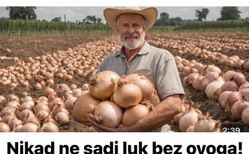 Nikad ne sadi luk bez ovoga! IMAT ĆEŠ REKORDAN PRINOS Nikad ne sadi luk bez ovoga! IMAT ĆEŠ REKORDAN PRINOS - featured image