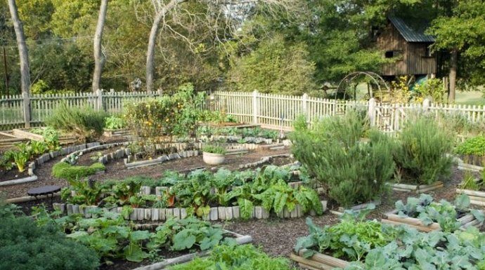 SODA BIKARBONA UMJESTO PESTICIDA: Zaštitite voće i povrće iz vaše bašte od propadanja na ovaj način! (RECEPT) SODA BIKARBONA UMJESTO PESTICIDA: Zaštitite voće i povrće iz vaše bašte od propadanja na ovaj način! (RECEPT) - featured image