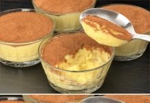 Pomiješajte limun i mlijeko! Najbolji talijanski desert bez pečenja za samo 10 minuta! Pomiješajte limun i mlijeko! Najbolji talijanski desert bez pečenja za samo 10 minuta! - featured image