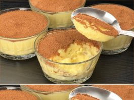 Pomiješajte limun i mlijeko! Najbolji talijanski desert bez pečenja za samo 10 minuta! Pomiješajte limun i mlijeko! Najbolji talijanski desert bez pečenja za samo 10 minuta! - featured image