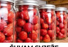 ČUVAM SVJEŽE JAGODE U TEGLAMA — ostaju kao tek ubrane godinama! 🍓✨ ČUVAM SVJEŽE JAGODE U TEGLAMA — ostaju kao tek ubrane godinama! 🍓✨ - featured image