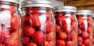 ČUVAM SVJEŽE JAGODE U TEGLAMA — ostaju kao tek ubrane godinama! 🍓✨ ČUVAM SVJEŽE JAGODE U TEGLAMA — ostaju kao tek ubrane godinama! 🍓✨ - featured image