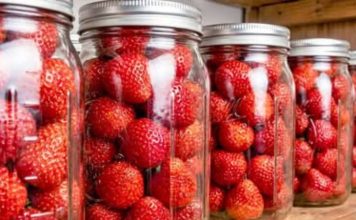 ČUVAM SVJEŽE JAGODE U TEGLAMA — ostaju kao tek ubrane godinama! 🍓✨ ČUVAM SVJEŽE JAGODE U TEGLAMA — ostaju kao tek ubrane godinama! 🍓✨ - featured image