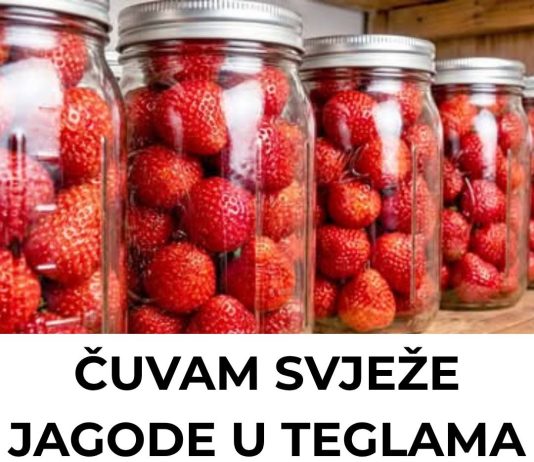 ČUVAM SVJEŽE JAGODE U TEGLAMA — ostaju kao tek ubrane godinama! 🍓✨ ČUVAM SVJEŽE JAGODE U TEGLAMA — ostaju kao tek ubrane godinama! 🍓✨ - featured image