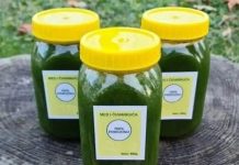 MED OD ČUVARKUĆE LIJEČI CIJELO TIJELO, EVO KAKO DA GA NAPRAVITE: Brzo zapišite recept, izvlači sva oboljenja MED OD ČUVARKUĆE LIJEČI CIJELO TIJELO, EVO KAKO DA GA NAPRAVITE: Brzo zapišite recept, izvlači sva oboljenja - featured image