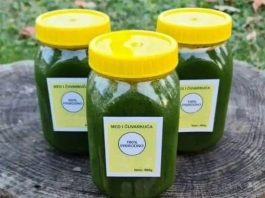 MED OD ČUVARKUĆE LIJEČI CIJELO TIJELO, EVO KAKO DA GA NAPRAVITE: Brzo zapišite recept, izvlači sva oboljenja MED OD ČUVARKUĆE LIJEČI CIJELO TIJELO, EVO KAKO DA GA NAPRAVITE: Brzo zapišite recept, izvlači sva oboljenja - featured image