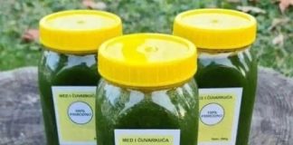 MED OD ČUVARKUĆE LIJEČI CIJELO TIJELO, EVO KAKO DA GA NAPRAVITE: Brzo zapišite recept, izvlači sva oboljenja MED OD ČUVARKUĆE LIJEČI CIJELO TIJELO, EVO KAKO DA GA NAPRAVITE: Brzo zapišite recept, izvlači sva oboljenja - featured image