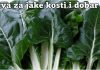 BLITVA ZA JAKE KOSTI I DOBAR VID – SPREMANJE NA DALMATINSKI NAČIN (RECEPT)!! BLITVA ZA JAKE KOSTI I DOBAR VID – SPREMANJE NA DALMATINSKI NAČIN (RECEPT)!! - featured image