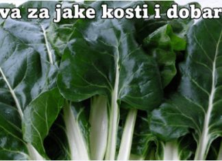 BLITVA ZA JAKE KOSTI I DOBAR VID – SPREMANJE NA DALMATINSKI NAČIN (RECEPT)!! BLITVA ZA JAKE KOSTI I DOBAR VID – SPREMANJE NA DALMATINSKI NAČIN (RECEPT)!! - featured image