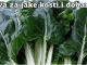 BLITVA ZA JAKE KOSTI I DOBAR VID – SPREMANJE NA DALMATINSKI NAČIN (RECEPT)!! BLITVA ZA JAKE KOSTI I DOBAR VID – SPREMANJE NA DALMATINSKI NAČIN (RECEPT)!! - featured image