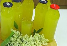 Šokata sirup od zove, limuna i narandže – najbolji domaći sok Šokata sirup od zove, limuna i narandže – najbolji domaći sok - featured image