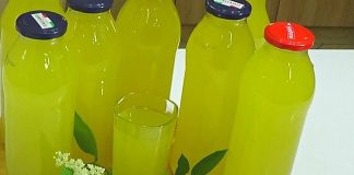 Šokata sirup od zove, limuna i narandže – najbolji domaći sok Šokata sirup od zove, limuna i narandže – najbolji domaći sok - featured image