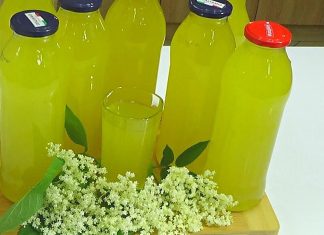 Šokata sirup od zove, limuna i narandže – najbolji domaći sok Šokata sirup od zove, limuna i narandže – najbolji domaći sok - featured image