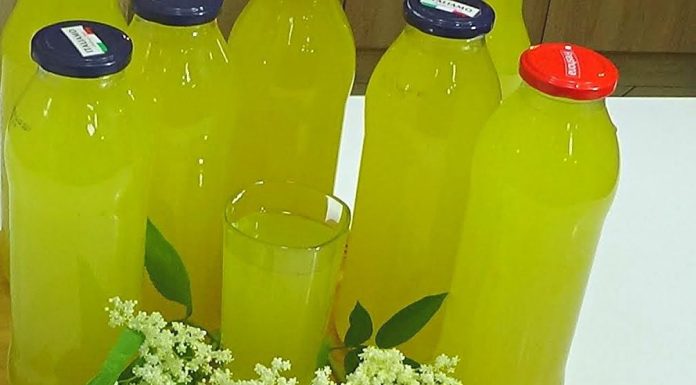 Šokata sirup od zove, limuna i narandže – najbolji domaći sok Šokata sirup od zove, limuna i narandže – najbolji domaći sok - featured image