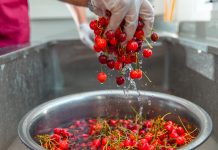 Ko NE SMIJE DA JEDE trešnje: Ljudi sa ovim zdravstvenim problemima trebalo bi da budu oprezni Ko NE SMIJE DA JEDE trešnje: Ljudi sa ovim zdravstvenim problemima trebalo bi da budu oprezni - featured image