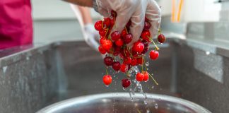 Ko NE SMIJE DA JEDE trešnje: Ljudi sa ovim zdravstvenim problemima trebalo bi da budu oprezni Ko NE SMIJE DA JEDE trešnje: Ljudi sa ovim zdravstvenim problemima trebalo bi da budu oprezni - featured image