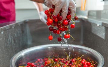 Ko NE SMIJE DA JEDE trešnje: Ljudi sa ovim zdravstvenim problemima trebalo bi da budu oprezni Ko NE SMIJE DA JEDE trešnje: Ljudi sa ovim zdravstvenim problemima trebalo bi da budu oprezni - featured image