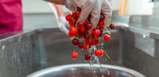 Ko NE SMIJE DA JEDE trešnje: Ljudi sa ovim zdravstvenim problemima trebalo bi da budu oprezni Ko NE SMIJE DA JEDE trešnje: Ljudi sa ovim zdravstvenim problemima trebalo bi da budu oprezni - featured image