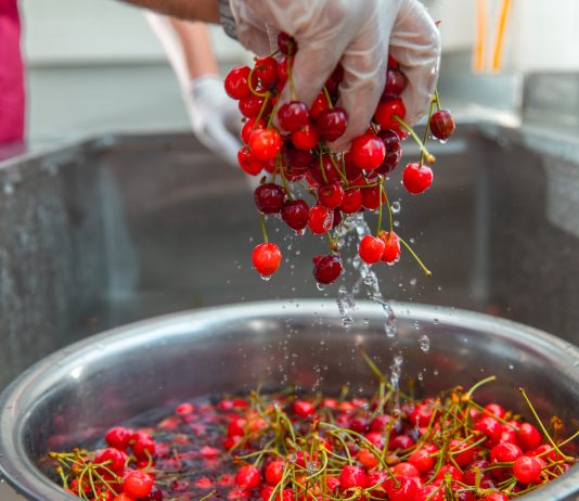 Ko NE SMIJE DA JEDE trešnje: Ljudi sa ovim zdravstvenim problemima trebalo bi da budu oprezni Ko NE SMIJE DA JEDE trešnje: Ljudi sa ovim zdravstvenim problemima trebalo bi da budu oprezni - featured image