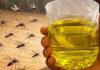 Muče vas muhe, komarci i insekti? Evo trika koji ih uklanja bez da potrošite ijednu marku! Muče vas muhe, komarci i insekti? Evo trika koji ih uklanja bez da potrošite ijednu marku! - featured image