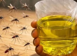Muče vas muhe, komarci i insekti? Evo trika koji ih uklanja bez da potrošite ijednu marku! Muče vas muhe, komarci i insekti? Evo trika koji ih uklanja bez da potrošite ijednu marku! - featured image