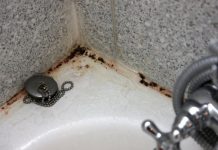ZABORAVITE SODU BIKARBONU I SIRĆE: Jedna namirnica koju već imate u kući čini da kamenac nestane duplo brže, TOPI ČAK I RĐU ZABORAVITE SODU BIKARBONU I SIRĆE: Jedna namirnica koju već imate u kući čini da kamenac nestane duplo brže, TOPI ČAK I RĐU - featured image