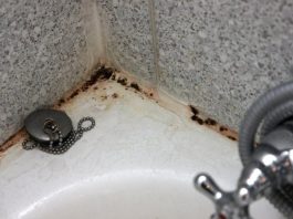 ZABORAVITE SODU BIKARBONU I SIRĆE: Jedna namirnica koju već imate u kući čini da kamenac nestane duplo brže, TOPI ČAK I RĐU ZABORAVITE SODU BIKARBONU I SIRĆE: Jedna namirnica koju već imate u kući čini da kamenac nestane duplo brže, TOPI ČAK I RĐU - featured image
