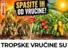 TROPSKE VRUĆINE SU STIGLE! 4 OBAVEZNA KORAKA da ODMAH spasite paradajz i paprike! TROPSKE VRUĆINE SU STIGLE! 4 OBAVEZNA KORAKA da ODMAH spasite paradajz i paprike! - featured image