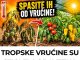 TROPSKE VRUĆINE SU STIGLE! 4 OBAVEZNA KORAKA da ODMAH spasite paradajz i paprike! TROPSKE VRUĆINE SU STIGLE! 4 OBAVEZNA KORAKA da ODMAH spasite paradajz i paprike! - featured image