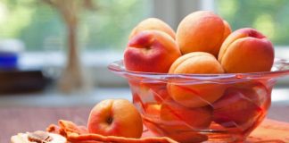 EVO ZAŠTO SE SEME KAJSIJE SMATRA NAJMOĆNIJIM LEKOM IZ PRIRODE: Obavezan deo ishrane! EVO ZAŠTO SE SEME KAJSIJE SMATRA NAJMOĆNIJIM LEKOM IZ PRIRODE: Obavezan deo ishrane! - featured image