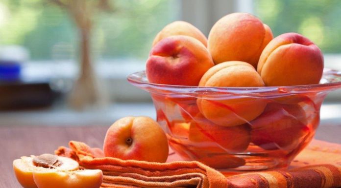 EVO ZAŠTO SE SEME KAJSIJE SMATRA NAJMOĆNIJIM LEKOM IZ PRIRODE: Obavezan deo ishrane! EVO ZAŠTO SE SEME KAJSIJE SMATRA NAJMOĆNIJIM LEKOM IZ PRIRODE: Obavezan deo ishrane! - featured image