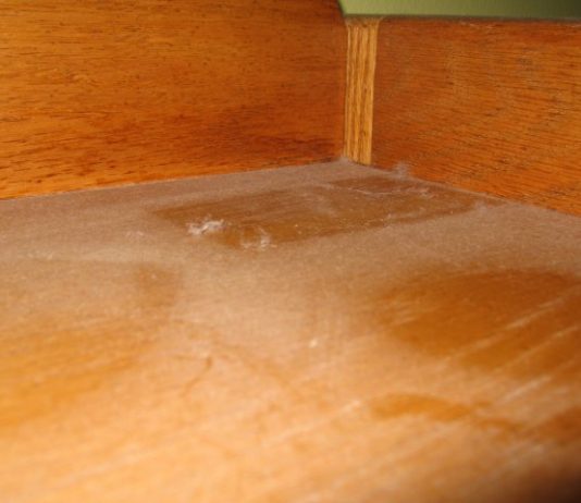 PRAŠINA U STANU ME IZLUĐIVALA, A ONDA MI JE SVEKRVA DALA ODLIČAN RECEPT: Sad čistim kuću trostruko rjeđe A SVE BLISTA PRAŠINA U STANU ME IZLUĐIVALA, A ONDA MI JE SVEKRVA DALA ODLIČAN RECEPT: Sad čistim kuću trostruko rjeđe A SVE BLISTA - featured image