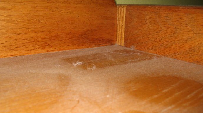 PRAŠINA U STANU ME IZLUĐIVALA, A ONDA MI JE SVEKRVA DALA ODLIČAN RECEPT: Sad čistim kuću trostruko rjeđe A SVE BLISTA PRAŠINA U STANU ME IZLUĐIVALA, A ONDA MI JE SVEKRVA DALA ODLIČAN RECEPT: Sad čistim kuću trostruko rjeđe A SVE BLISTA - featured image