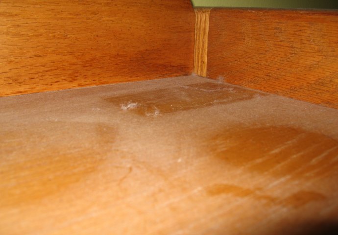 PRAŠINA U STANU ME IZLUĐIVALA, A ONDA MI JE SVEKRVA DALA ODLIČAN RECEPT: Sad čistim kuću trostruko rjeđe A SVE BLISTA - featured image PRAŠINA U STANU ME IZLUĐIVALA, A ONDA MI JE SVEKRVA DALA ODLIČAN RECEPT: Sad čistim kuću trostruko rjeđe A SVE BLISTA - featured image