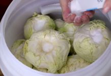 Koliko soli ide na 10 litara vode za kiseli kupus? Samo ovo je prava količina Koliko soli ide na 10 litara vode za kiseli kupus? Samo ovo je prava količina - featured image