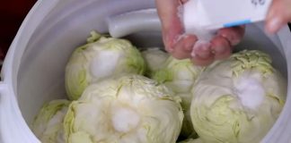 Koliko soli ide na 10 litara vode za kiseli kupus? Samo ovo je prava količina Koliko soli ide na 10 litara vode za kiseli kupus? Samo ovo je prava količina - featured image