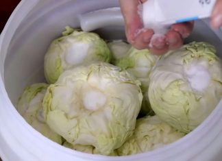 Koliko soli ide na 10 litara vode za kiseli kupus? Samo ovo je prava količina Koliko soli ide na 10 litara vode za kiseli kupus? Samo ovo je prava količina - featured image