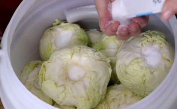 Koliko soli ide na 10 litara vode za kiseli kupus? Samo ovo je prava količina Koliko soli ide na 10 litara vode za kiseli kupus? Samo ovo je prava količina - featured image