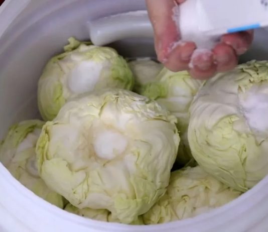 Koliko soli ide na 10 litara vode za kiseli kupus? Samo ovo je prava količina Koliko soli ide na 10 litara vode za kiseli kupus? Samo ovo je prava količina - featured image