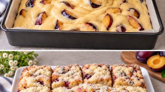 BAKIN KOLAČ SA ŠLJIVAMA: Sve po „8 kašika” gotov za 5 minuta!Jednostavno i bez vage - featured image BAKIN KOLAČ SA ŠLJIVAMA: Sve po „8 kašika” gotov za 5 minuta!Jednostavno i bez vage - featured image