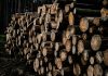MISLIO JE DA JE URADIO PRAVU STVAR Drva držao uz zid kuće, a poslije dvije zime uslijedio JEZIV PROBLEM MISLIO JE DA JE URADIO PRAVU STVAR Drva držao uz zid kuće, a poslije dvije zime uslijedio JEZIV PROBLEM - featured image